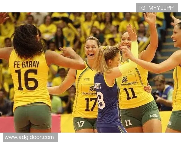 北京排球队以57分领跑总决赛积分榜展现强劲实力和团队合作精神