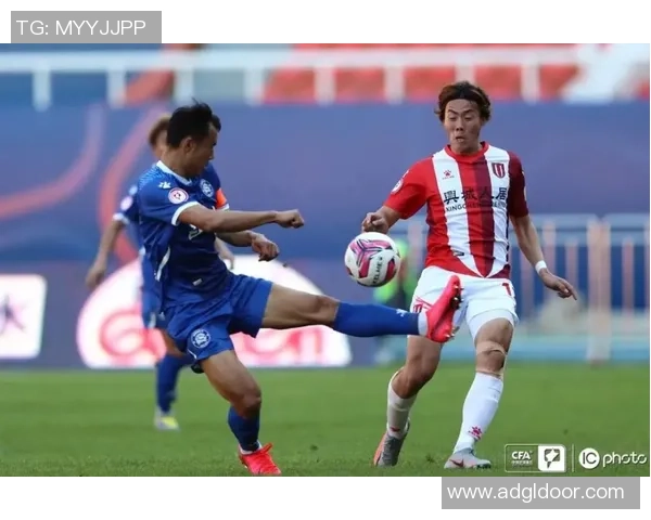 成都网球队逆袭之旅特别报道展现拼搏精神与团队力量