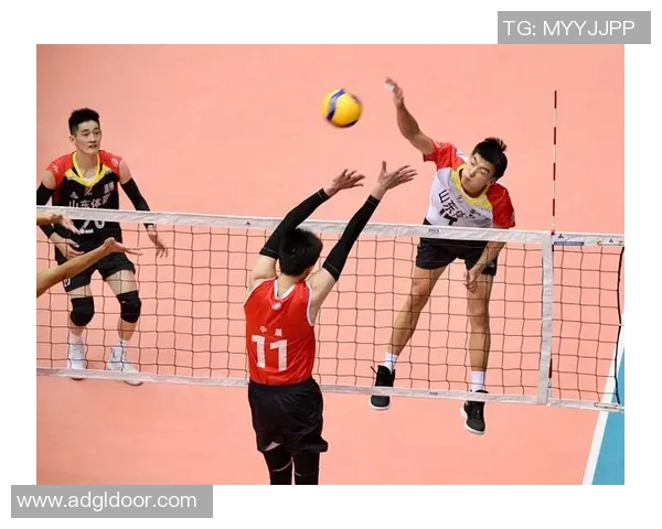 广州排球队实力强劲荣登排球个人能力排行榜第三名