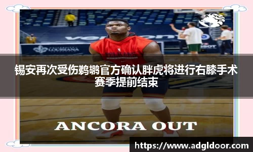 锡安再次受伤鹈鹕官方确认胖虎将进行右膝手术赛季提前结束